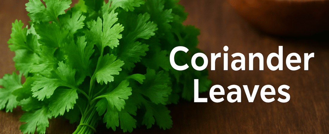 Healing from Your Kitchen Shelf: Coriander Leaves – Fresh Green Ayurvedic Antioxidant from Your Kitchen Shelf