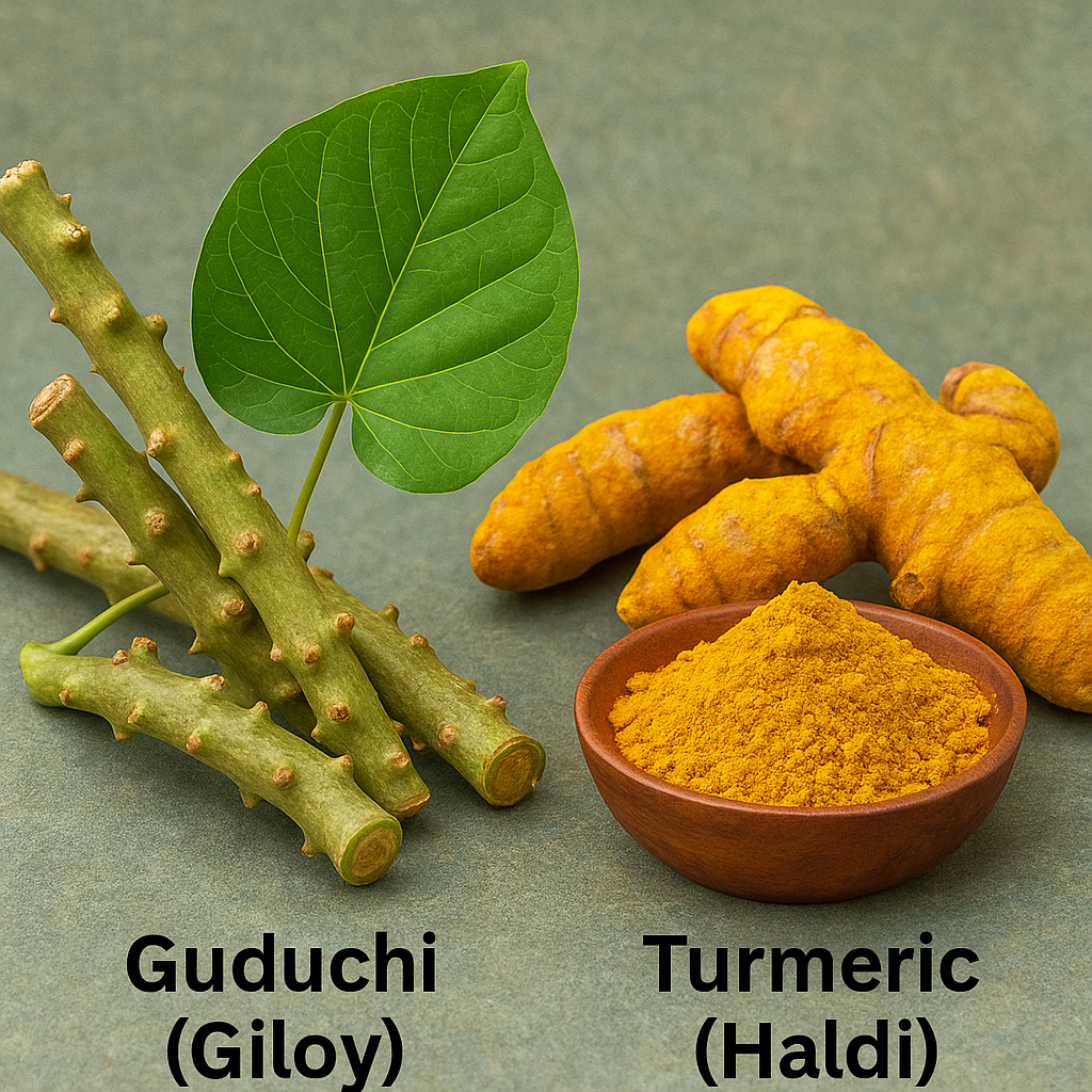 Realistic image of Guduchi stems with leaves and turmeric roots with powder, showing Ayurvedic herbs that support detoxification, immunity, hormone balance, and anti-inflammatory benefits