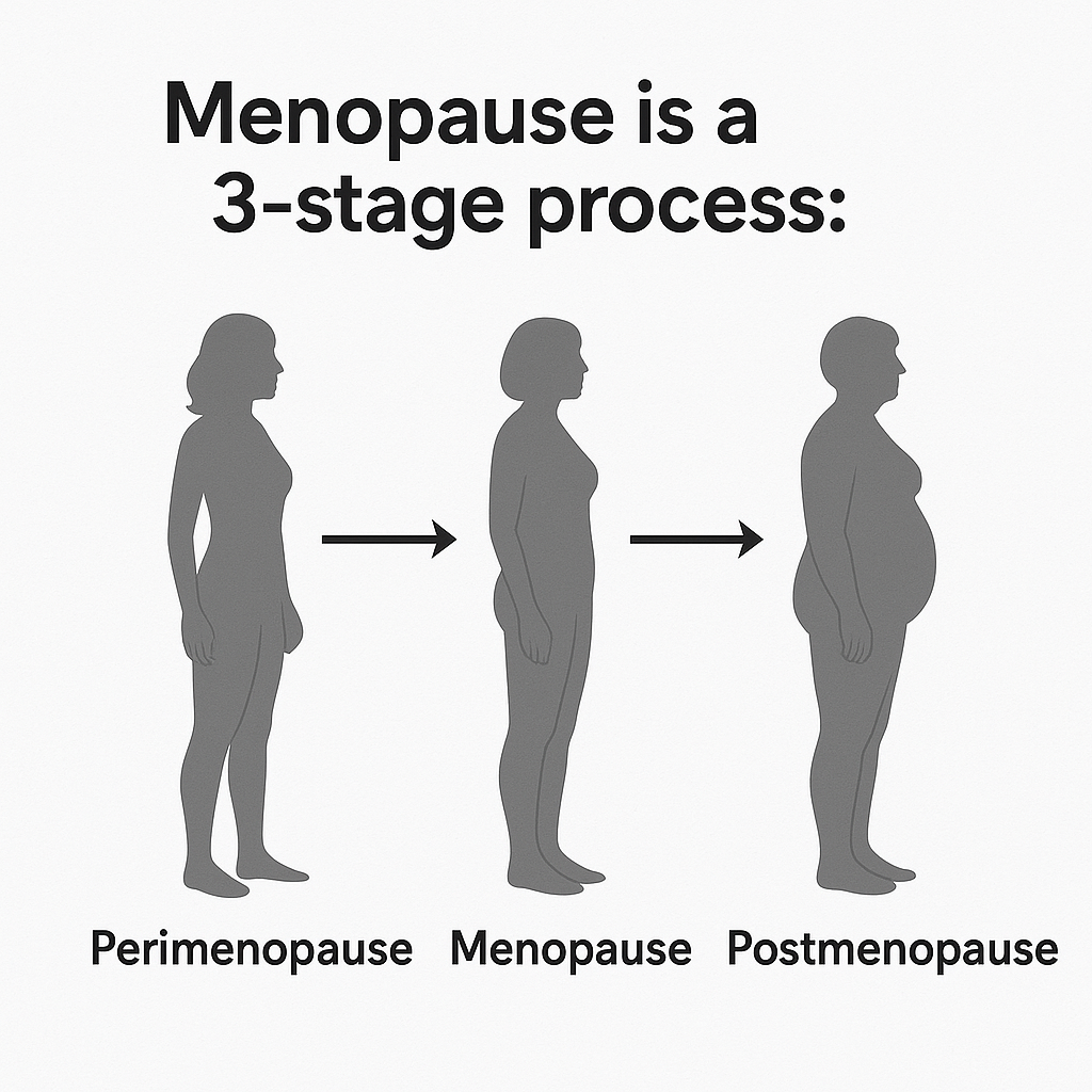 "Scientific infographic showing three stages of menopause with silhouettes of women labeled Perimenopause, Menopause, and Postmenopause, arranged sequentially with arrows."