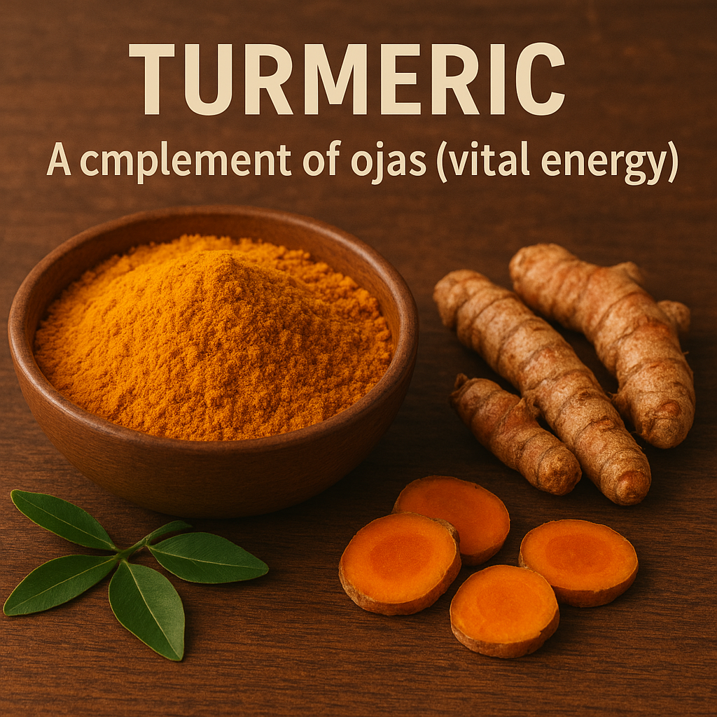 A wooden bowl filled with bright turmeric powder alongside fresh turmeric rhizomes and sliced pieces on a wooden surface, symbolizing its role in Ayurveda as a complement of ojas (vital energy).